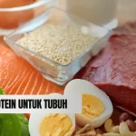 Inilah Dampak Protein pada Kesehatan Tubuh, Kamu Perlu Tahu!